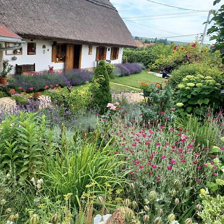 Magdolna Vendégház Magánszálláshely Écs Exterior foto