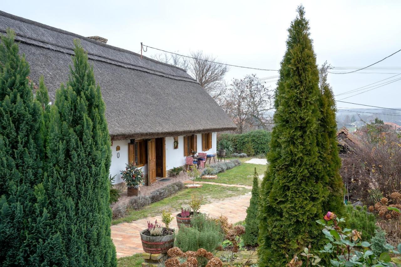 Magdolna Vendégház Magánszálláshely Écs Exterior foto